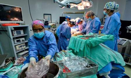 Más de 70 personas esperan un trasplante renal en Misiones y Cucaimis trabaja en la coordinación, la educación y los avances médicos para reducir la lista de espera imagen-5