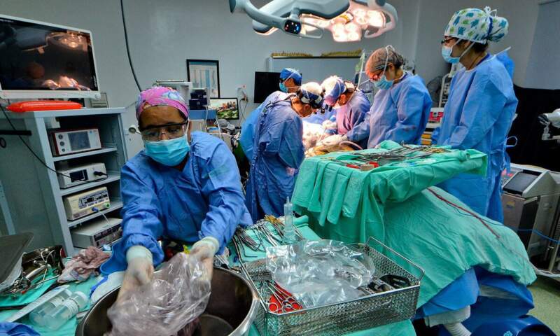 Más de 70 personas esperan un trasplante renal en Misiones y Cucaimis trabaja en la coordinación, la educación y los avances médicos para reducir la lista de espera imagen-6