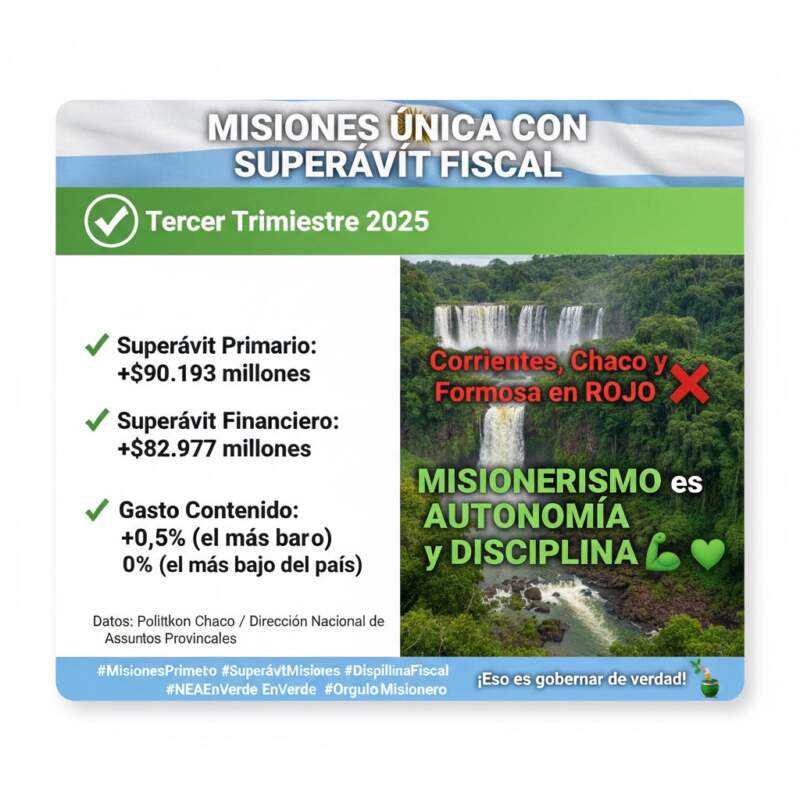 "Misiones, única provincia con las cuentas en orden", dice diputado Pastori imagen-2