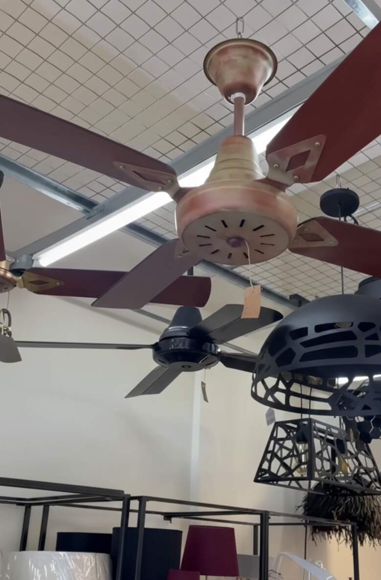 Ventiladores ganan protagonismo en el verano como alternativa para reducir el consumo energético en los hogares imagen-13