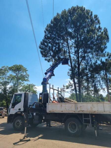 Energía de Misiones: Remodelación de línea troncal “Leoni” mejora el servicio en la localidad imagen-30