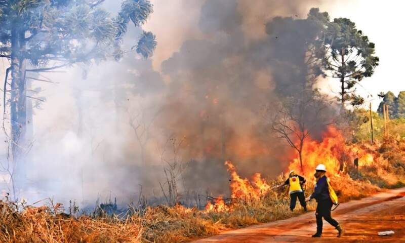 Incendios forestales en Misiones: Recamán alertó por el índice extremo y describió las políticas de prevención y control imagen-67