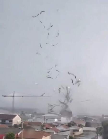 Preocupación en Brasil: un fuerte temporal con vientos extremos afectó a la región metropolitana de Curitiba imagen-5