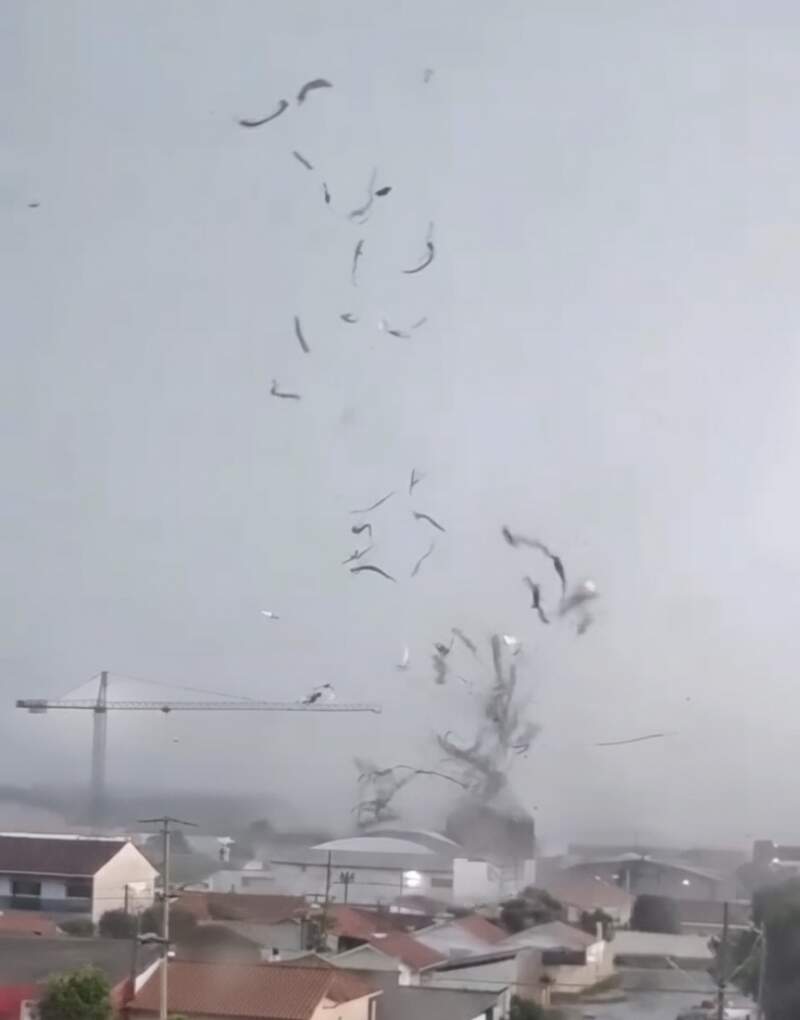 Preocupación en Brasil: un fuerte temporal con vientos extremos afectó a la región metropolitana de Curitiba imagen-9