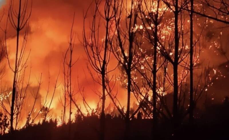 Incendios en Chubut: confirmaron que son intencionales a través de una estremecedora imagen mientras sigue la lucha contra el fuego imagen-8