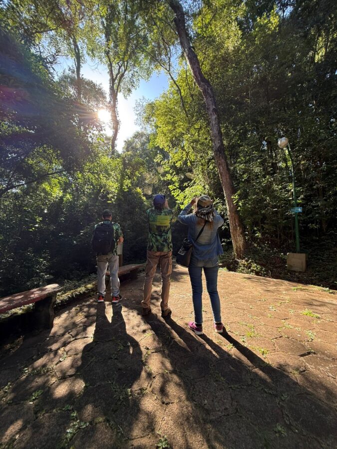 Medio centenar de participantes en la primera jornada del año del programa Ruta de las Aves de Misiones imagen-2