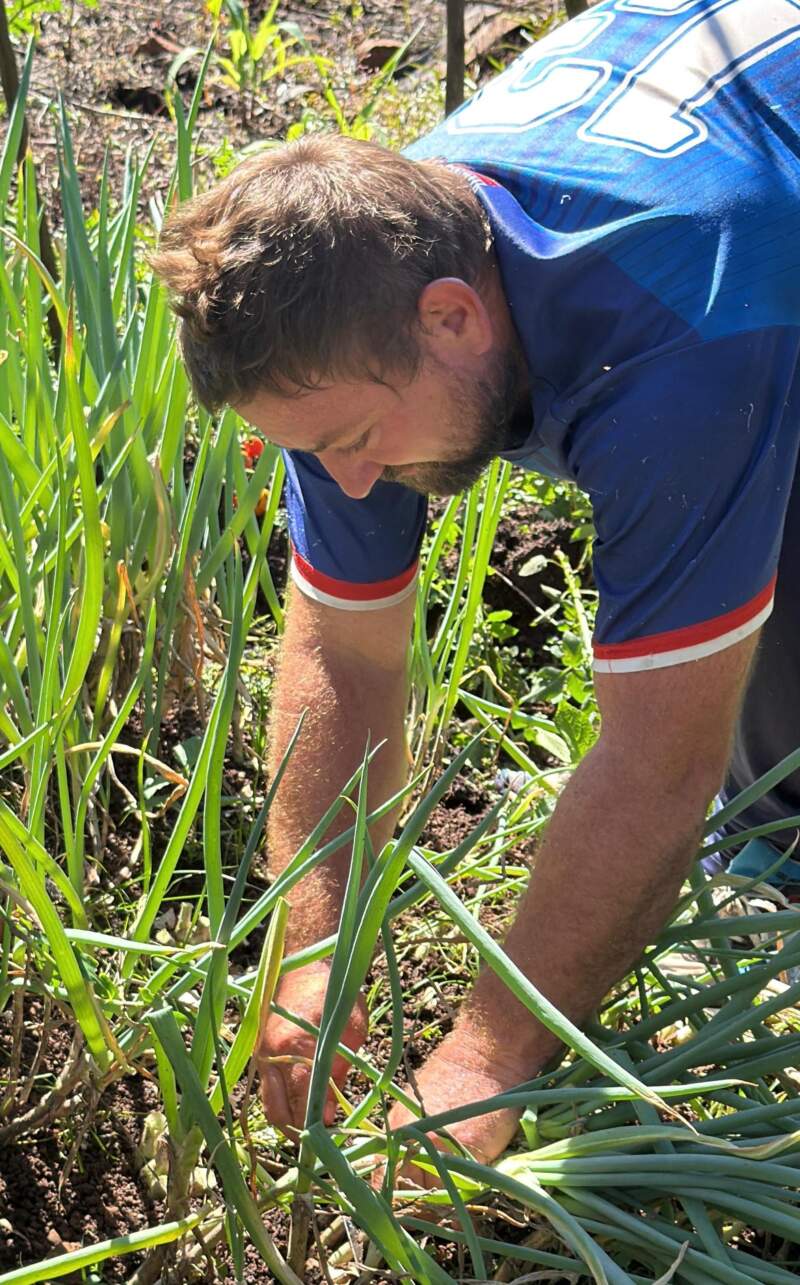 Solidaridad que alimenta: productores de Tierra, Techo y Trabajo donan parte de su cosecha a comedores imagen-4