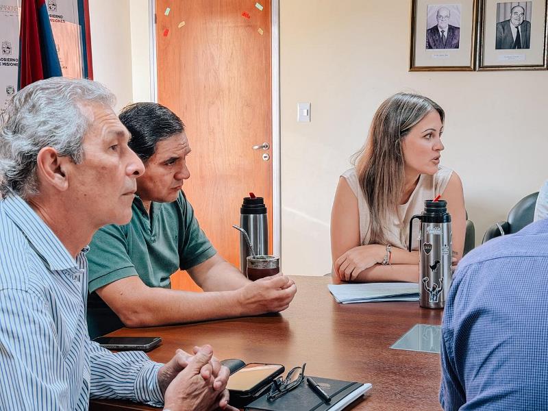 Salud Misiones presentó el Plan Provincial de Calidad 2025–2030, cuáles son los principales objetivos imagen-10