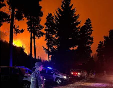 Chubut: Masivas evacuaciones por los incendios forestales Chubut: Masivas evacuaciones por los incendios forestales imagen-13