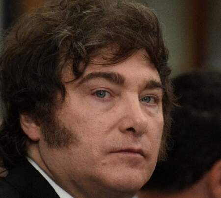 Informe de Fopea relevó casi 17 mil tuits con insultos y ofensas de Milei imagen-5