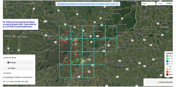 Presentaron una plataforma digital para ordenar inversiones en la industria maderera imagen-68
