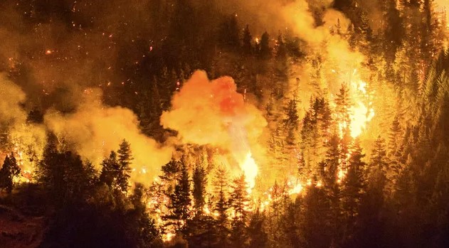 Incendios forestales: el Gobierno firma el DNU que declara la Emergencia Ígnea en la Patagonia Incendios forestales: el Gobierno firma el DNU que declara la Emergencia Ígnea en la Patagonia imagen-1