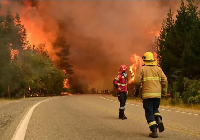 Incendios forestales: el Gobierno firma el DNU que declara la Emergencia Ígnea en la Patagonia 5 Incendios forestales: el Gobierno firma el DNU que declara la Emergencia Ígnea en la Patagonia imagen-4