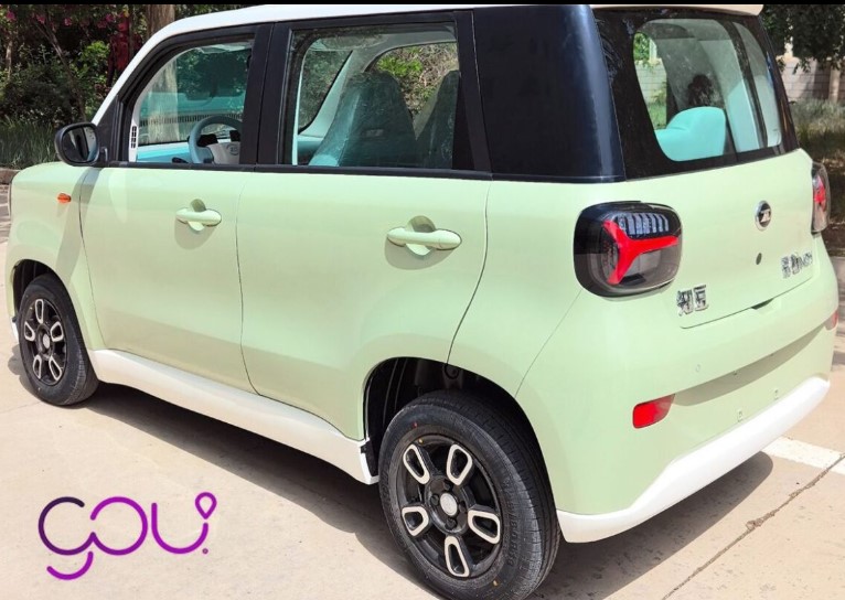 Gou Argentina: Misiones será la primera donde trabajarán con la App y hasta tendrán servicio inclusivo imagen-2