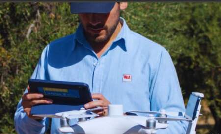 AgTech: el INTA impulsa la transformación productiva de la caña de azúcar, la yerba mate y el tabaco imagen-5