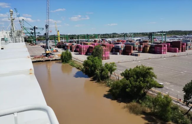 Arribaron a Zárate 7.000 autos chinos: la automotriz BYD relanza su plan para Argentina imagen-4