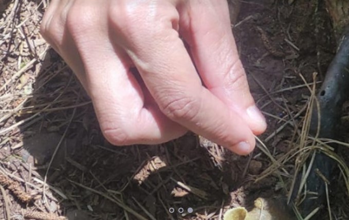 Impulsados por el IMiBio, nuevos productores de El Soberbio apuestan a la meliponicultura imagen-4