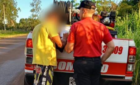 Bomberos intervinieron en un incendio de pinar y labraron un acta por quema ilegal en Panambí imagen-8