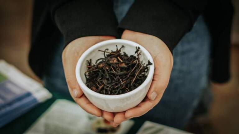 Reconocimiento: 15 empresas misioneras ya integran la indicación geográfica "Té Argentino", un hito histórico para el sector tealero provincial imagen-20