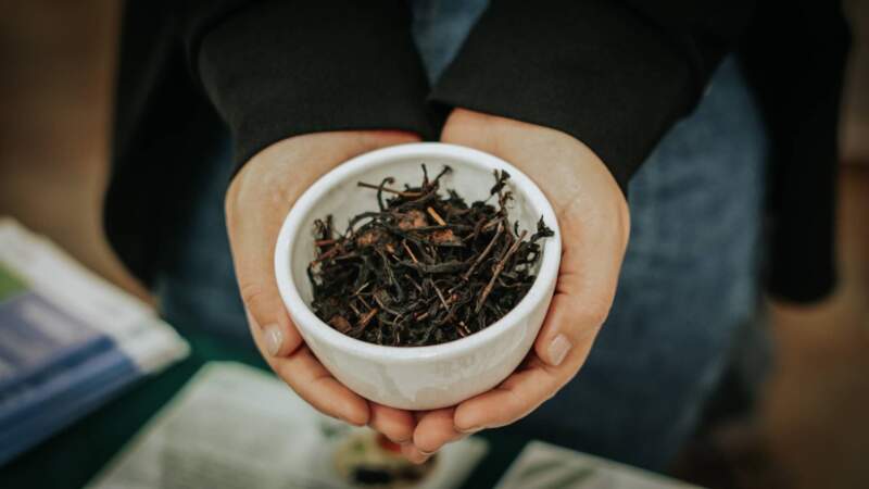 Reconocimiento: 15 empresas misioneras ya integran la indicación geográfica "Té Argentino", un hito histórico para el sector tealero provincial imagen-10