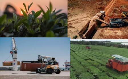 Balance económico 2025 en el NEA: Corrientes crece 4,2% mientras Misiones y Chaco registran caídas y el comercio de frontera se ve afectado imagen-14