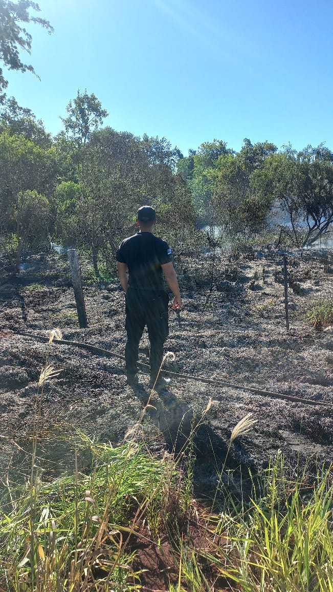 Controlaron un incendio de malezas en jurisdicción de Loreto imagen-14