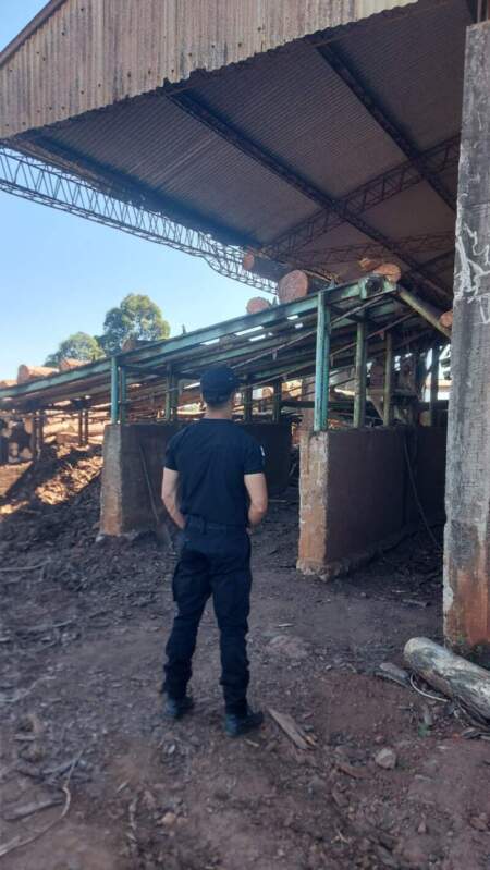 Accidente laboral en un aserradero de San Vicente: un operario cayó desde una plataforma Accidente laboral en un aserradero de San Vicente: un operario cayó desde una plataforma imagen-32