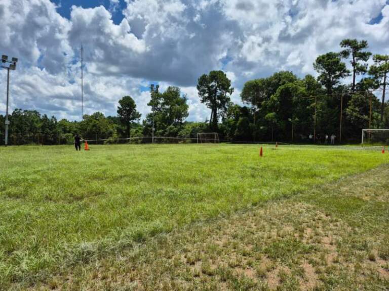 Hallaron un cuerpo en avanzado estado de descomposición en un predio deportivo de Garupá imagen-34