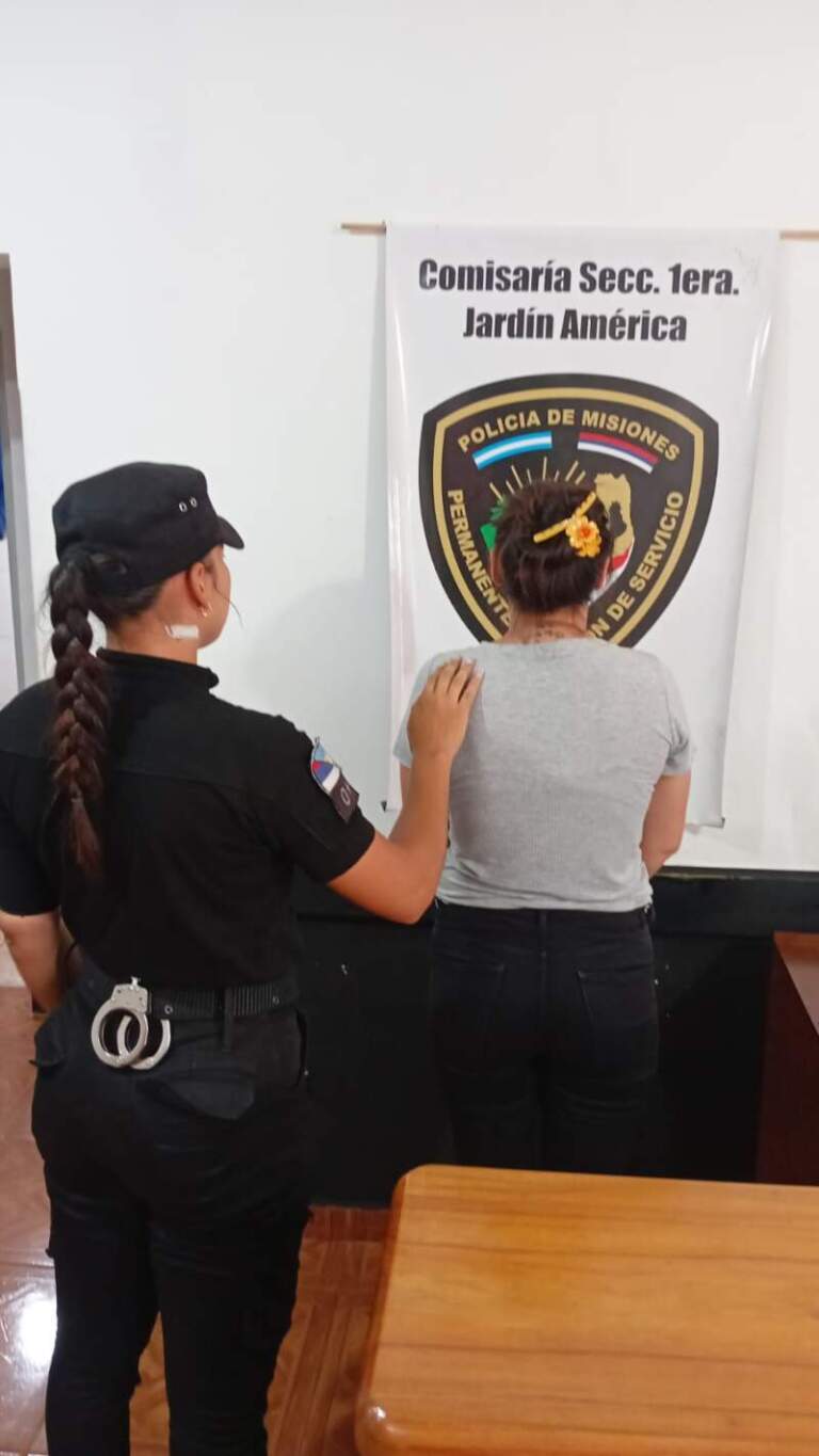 Intentó estafar a su propia tía con un préstamo millonario y fue detenida en Jardín América imagen-6