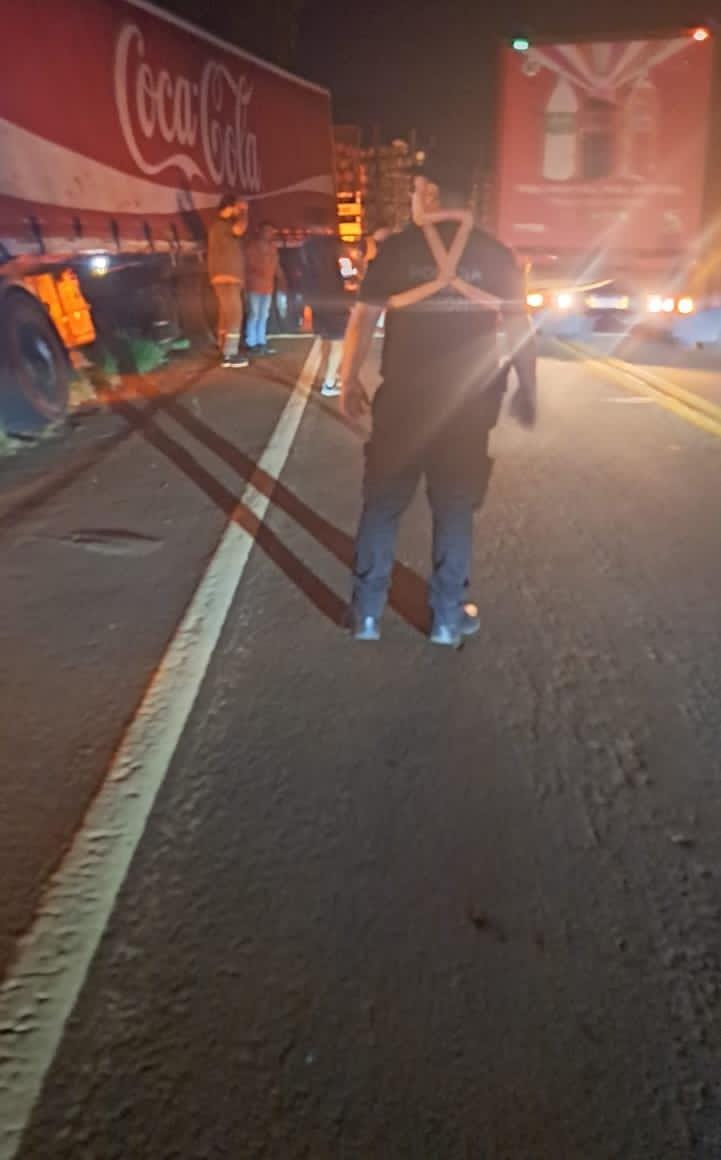 Un camión de gran porte despistó sobre la Ruta Nacional 12 a la altura del puente Piray Guazú imagen-4