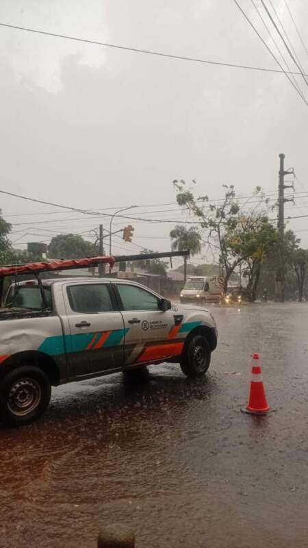 Energía de Misiones normalizó el servicio eléctrico tras el temporal en Posadas imagen-11