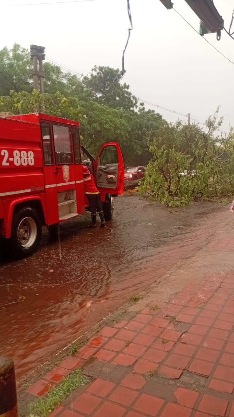 Energía de Misiones normalizó el servicio eléctrico tras el temporal en Posadas imagen-2