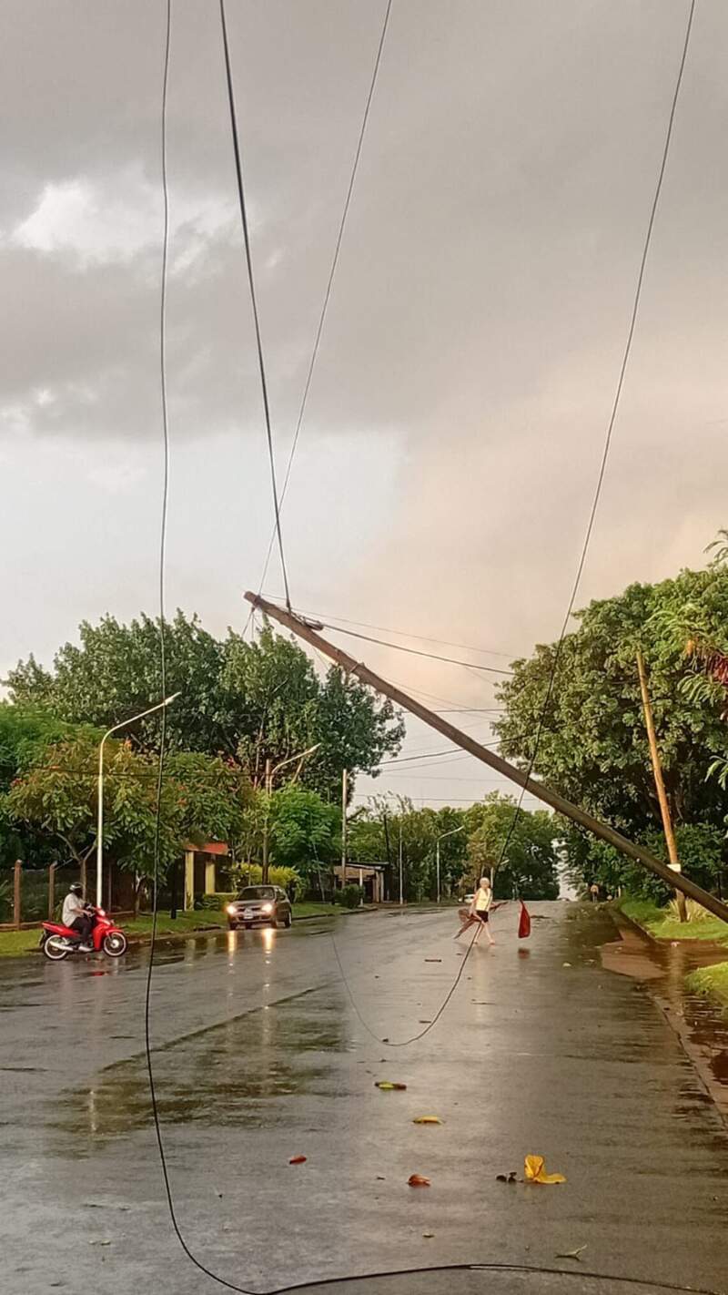 Energía de Misiones normalizó el servicio eléctrico tras el temporal en Posadas imagen-6