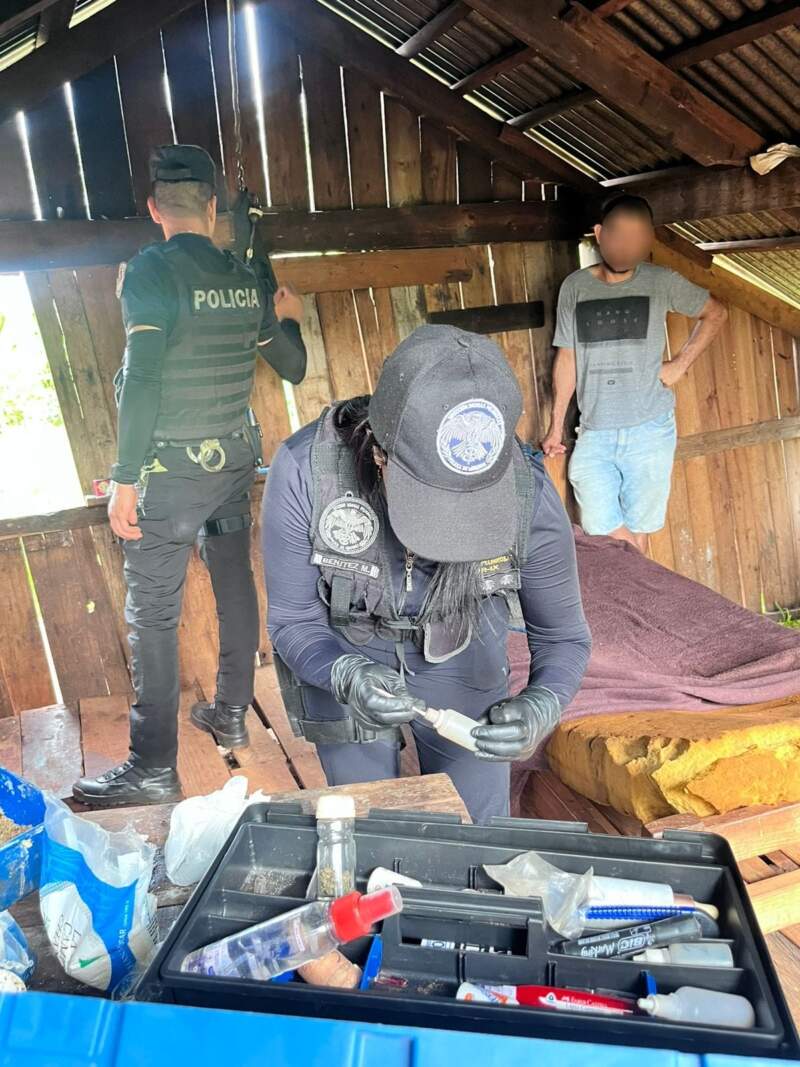 “Narcochacra” en Puerto Leoni: allanamiento policial permitió secuestrar casi 50 plantas de marihuana imagen-2