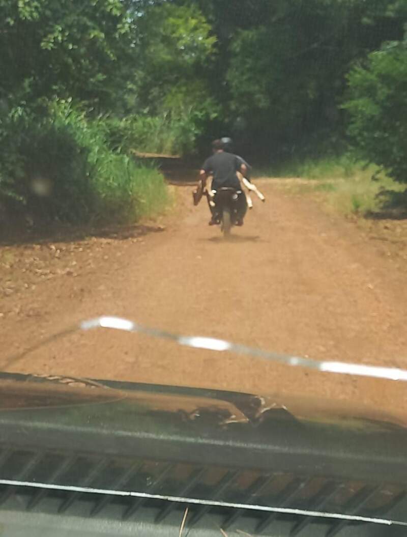 Huían en moto con un ternero robado y fueron atrapados tras una persecución policial imagen-4
