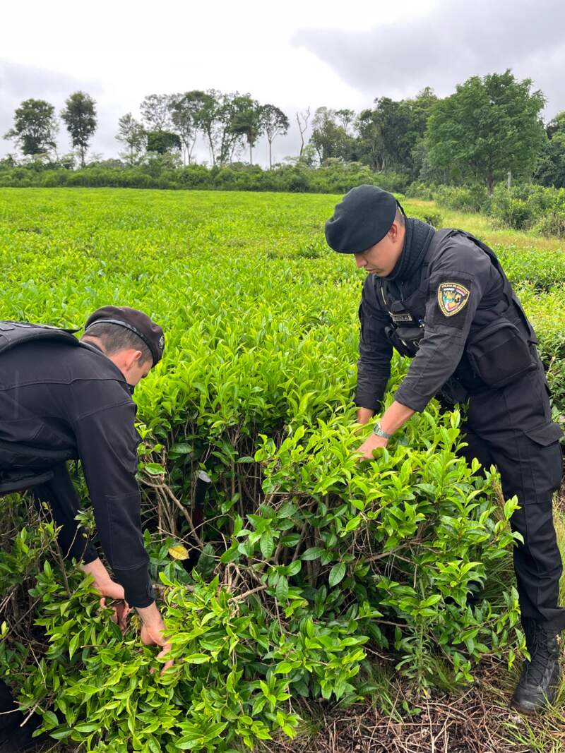 Hallaron el presunto arma homicida y prendas utilizadas por el acusado del crimen del mecánico dental de Oberá imagen-4