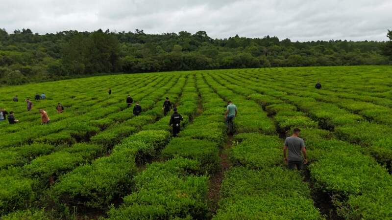 Hallaron el presunto arma homicida y prendas utilizadas por el acusado del crimen del mecánico dental de Oberá imagen-2