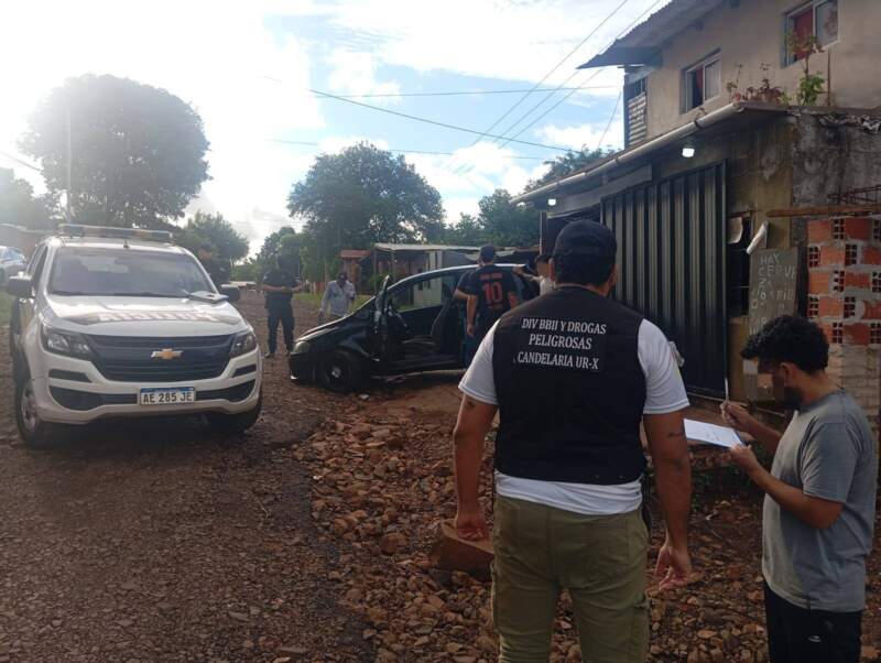 Rescataron una boa curiyú de tres metros y un tatú mulita en operativos de protección de fauna en Misiones imagen-4