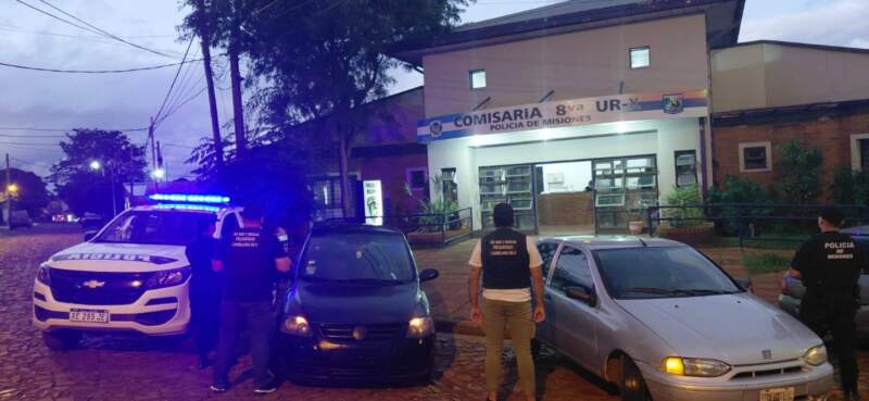 Rescataron una boa curiyú de tres metros y un tatú mulita en operativos de protección de fauna en Misiones imagen-2