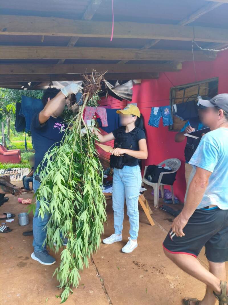 De una denuncia por violencia a desbaratar un narcokiosco: droga, plantas y balanza secuestradas en San Javier imagen-2