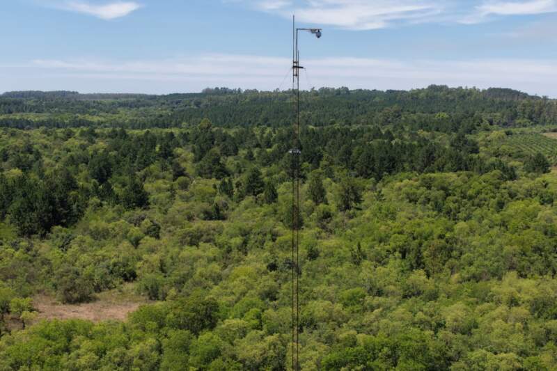Alerta Temprana de incendios forestales: Misiones a la vanguardia en el país con tecnología de punta en vigilancia 360º imagen-2
