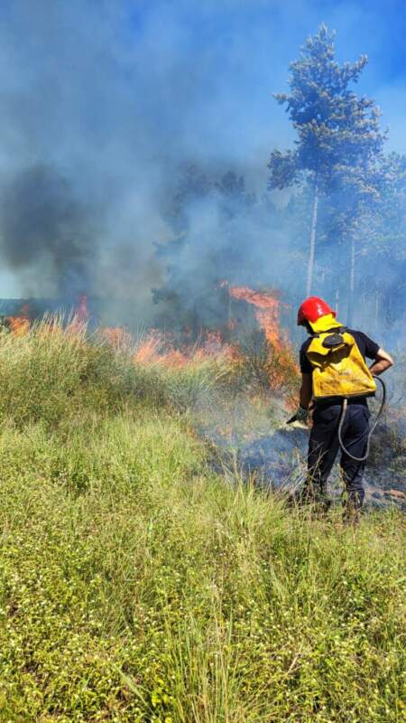 Tras seis horas de intenso trabajo controlaron un incendio de malezas y pinar en Santa Ana imagen-13