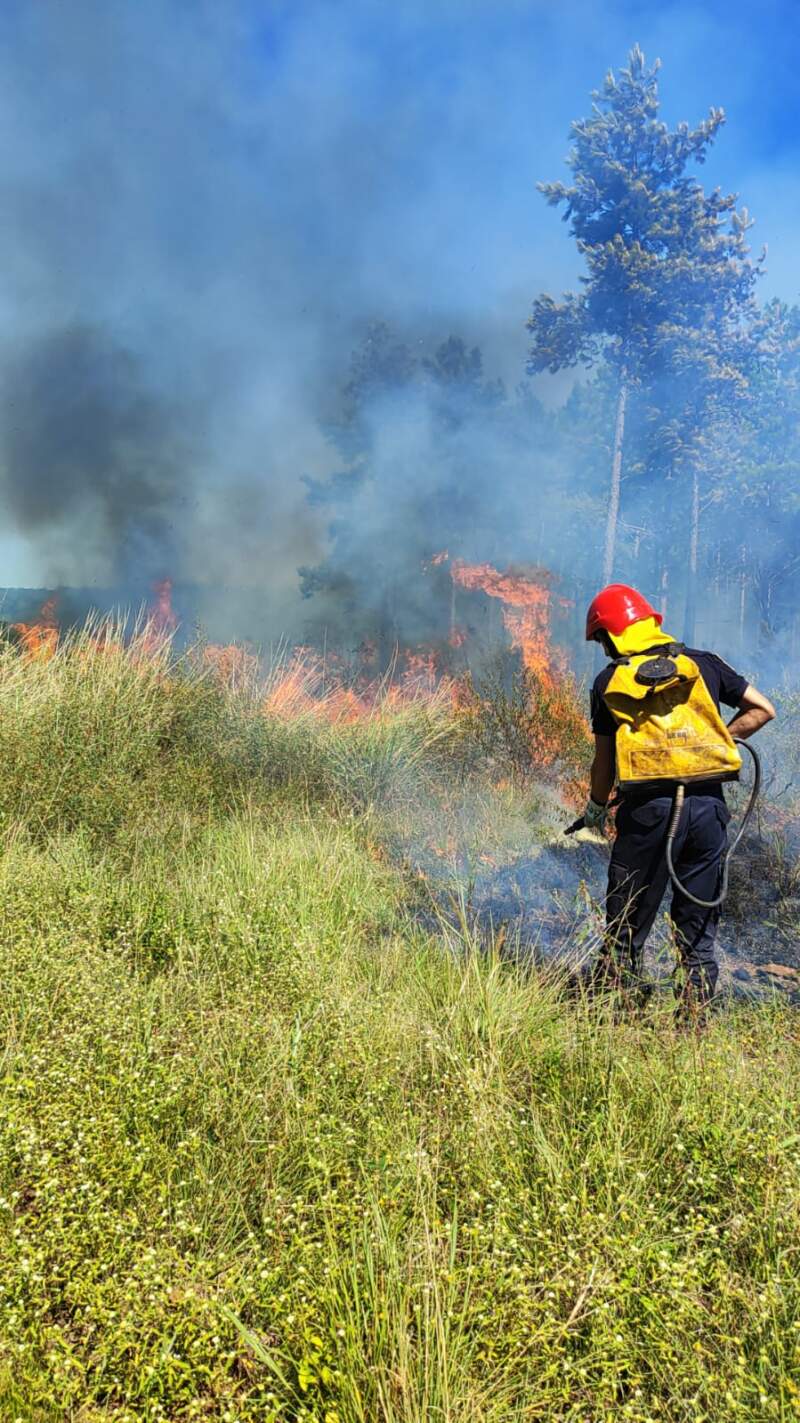 Tras seis horas de intenso trabajo controlaron un incendio de malezas y pinar en Santa Ana imagen-9