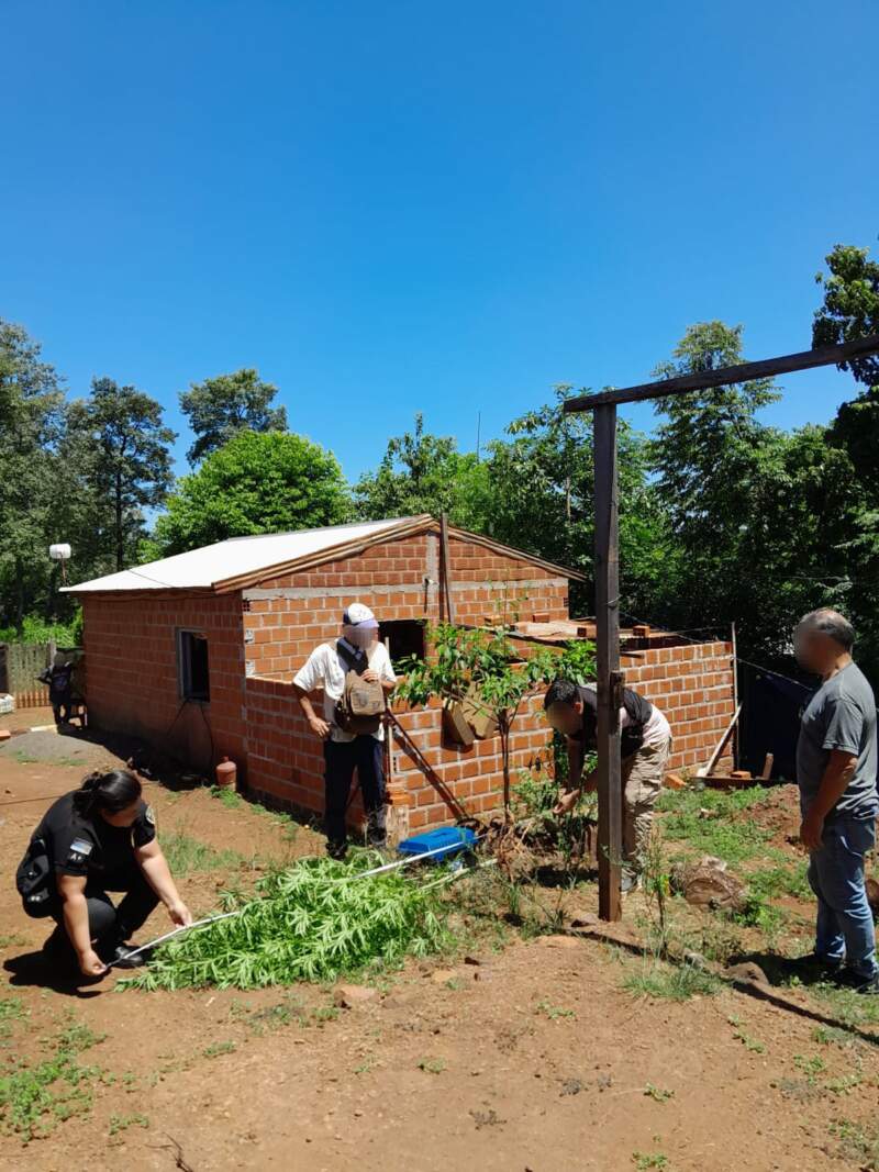 Más de 11 kilos de marihuana secuestrados durante un procedimiento por exclusión de hogar y prohibición de acercamiento imagen-9