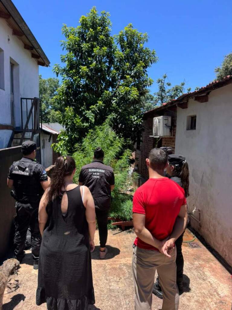 Más de 11 kilos de marihuana secuestrados durante un procedimiento por exclusión de hogar y prohibición de acercamiento imagen-8