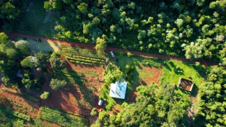 Ecología avanza en un plan estratégico para promover la convivencia entre el desarrollo urbano y la biodiversidad en las 2000 Hectáreas de Puerto Iguazú Ecología avanza en un plan estratégico para promover la convivencia entre el desarrollo urbano y la biodiversidad en las 2000 Hectáreas de Puerto Iguazú imagen-16