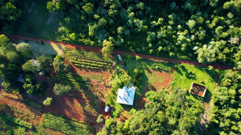 Ecología avanza en un plan estratégico para promover la convivencia entre el desarrollo urbano y la biodiversidad en las 2000 Hectáreas de Puerto Iguazú imagen-7