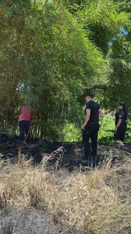 Rápida intervención policial evitó la propagación de un incendio de malezas sobre la Ruta Nacional 12 imagen-3