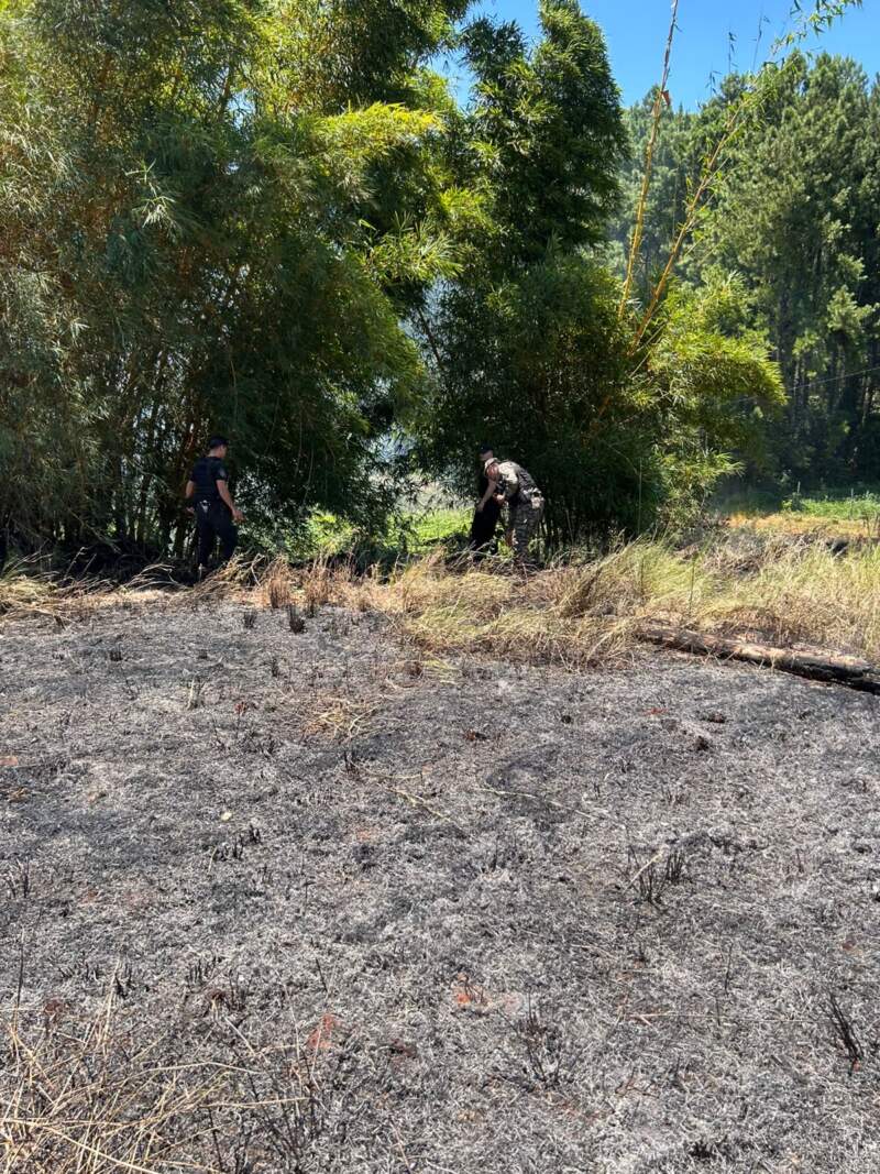 Rápida intervención policial evitó la propagación de un incendio de malezas sobre la Ruta Nacional 12 3 Rápida intervención policial evitó la propagación de un incendio de malezas sobre la Ruta Nacional 12 imagen-2
