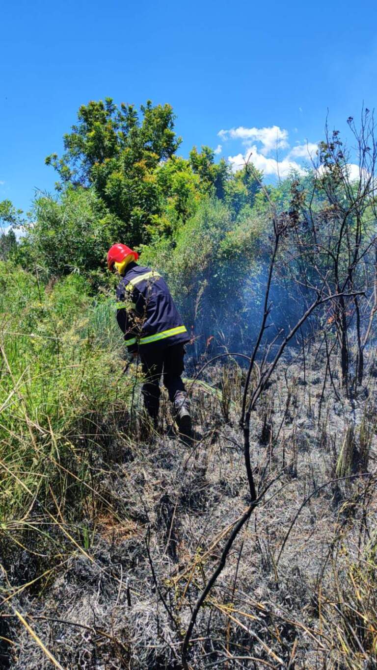 Bomberos sofocaron un incendio de malezas en cercanías del Parque Industrial de Santa Ana imagen-23